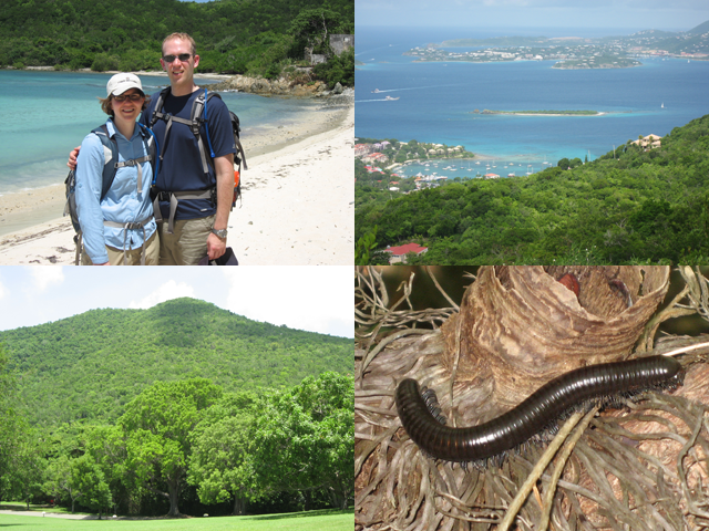 St. John - Day 1 Collage