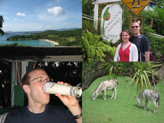 St. John - Day 2 Collage
