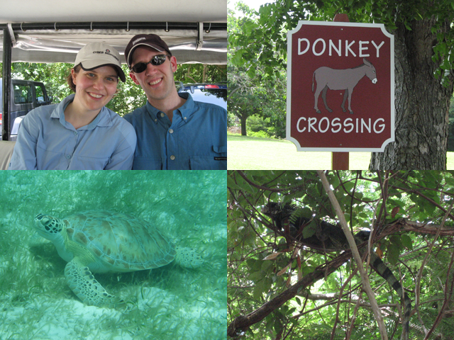 St. John - Day 4 Collage