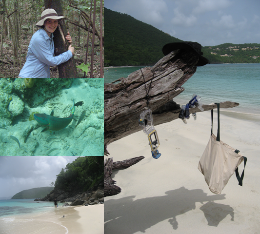 St. John - Day 5 Collage